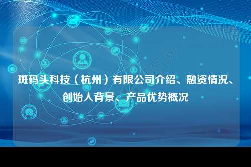 斑码头科技（杭州）有限公司介绍、融资情况、创始人背景、产品优势概况