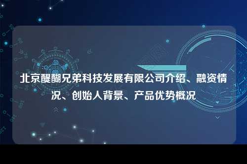 北京醍醐兄弟科技发展有限公司介绍、融资情况、创始人背景、产品优势概况