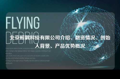 北京鲸鹳科技有限公司介绍、融资情况、创始人背景、产品优势概况