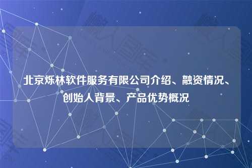 北京烁林软件服务有限公司介绍、融资情况、创始人背景、产品优势概况