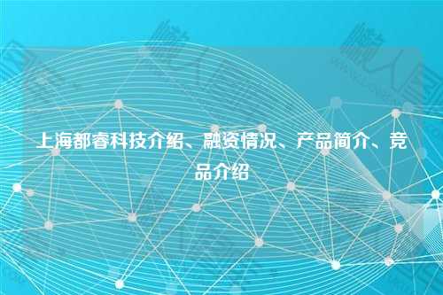 上海都睿科技介绍、融资情况、产品简介、竞品介绍